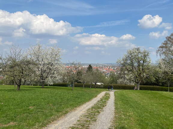 22-04-15 13-41-43 0494